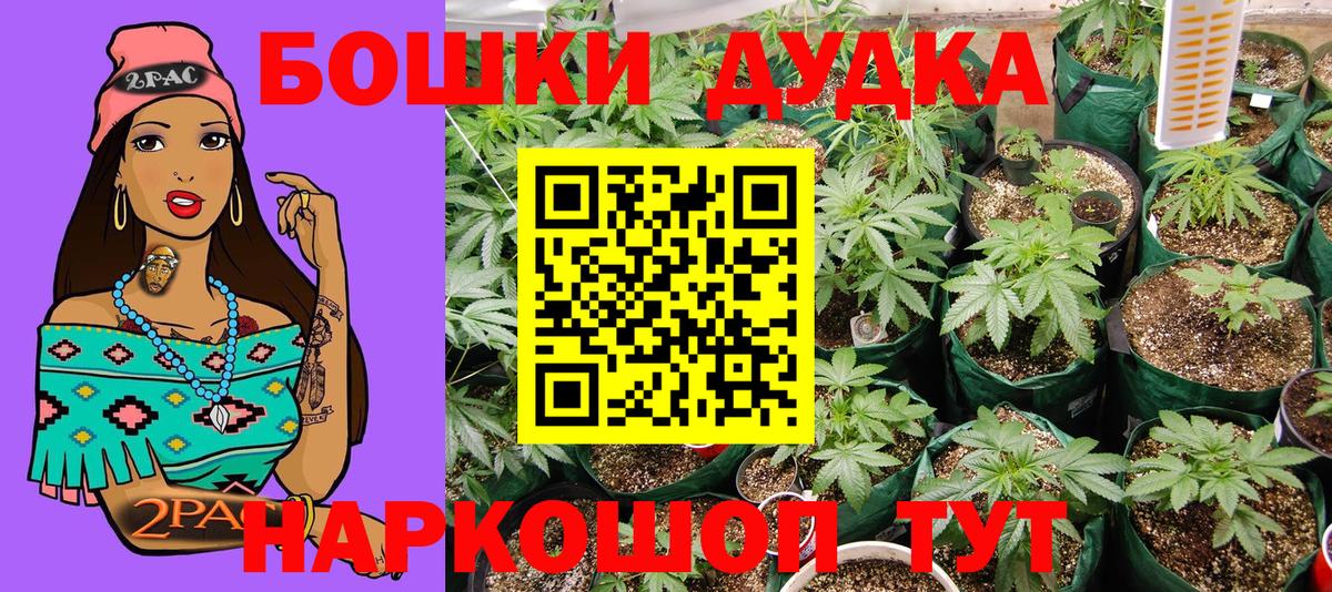 Конопля Ganja  Вход с VPN  Конопля AK-47  Тайшет 
